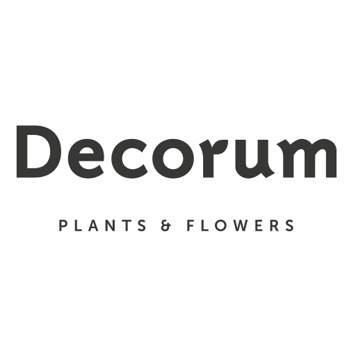 Lotify - online platform - logo Decorum